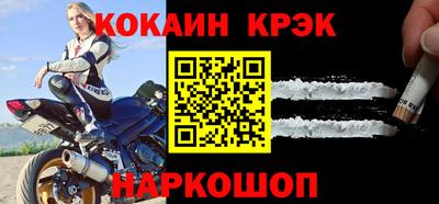шишки Дубна