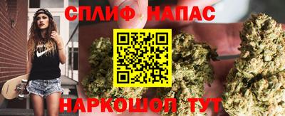 шишки Дубна