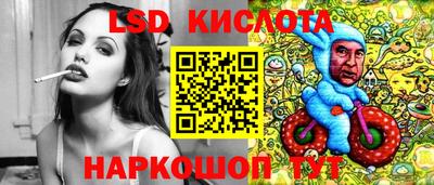 шишки Дубна