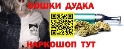 шишки Дубна