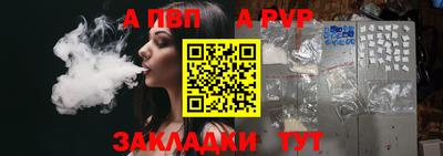 шишки Дубна