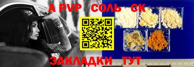 шишки Дубна
