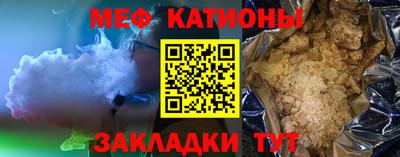 шишки Дубна